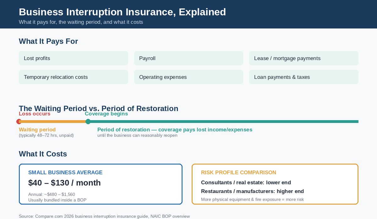 Infographic showing what business interruption insurance covers, the waiting period timeline, and monthly cost by business type